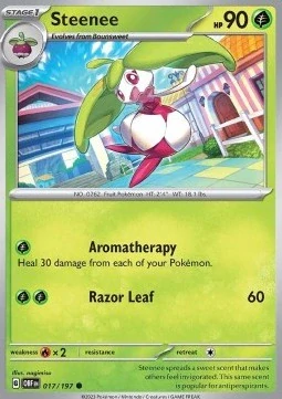 Steenee RH (OBF 017)