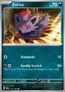 Zorua (SFA 031)