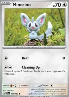 Minccino (TEF 136)