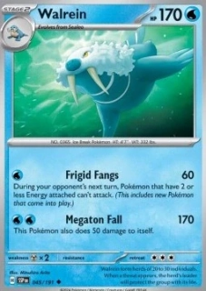 Walrein (SSP 045)