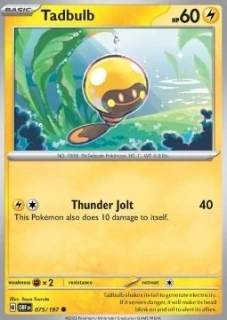 Tadbulb (OBF 075)