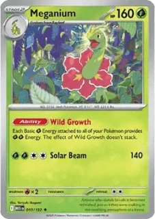 Meganium RH (MEG 010)