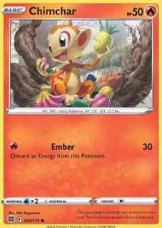 Chimchar (BRS 024)