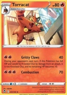 Torracat (SIT 031)