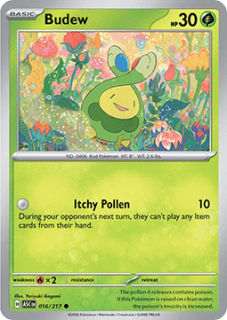 Budew (ASC 016)