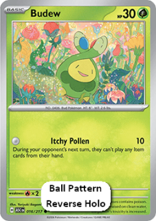 Budew RH (xASC 016)