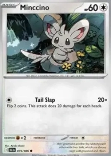 Minccino RH (BLK 075)