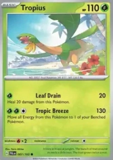Tropius RH (PAL 007)