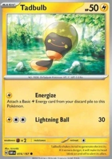 Tadbulb (OBF 074)