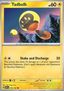 Tadbulb (OBF 076)