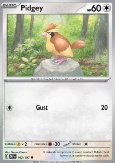 Pidgey RH (OBF 162)