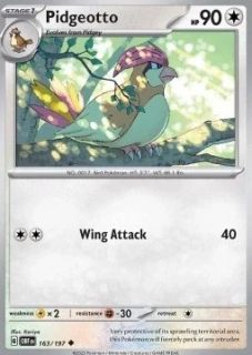 Pidgeotto (OBF 163)