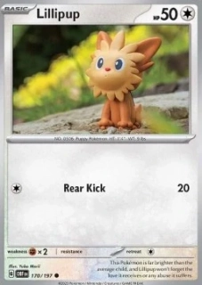 Lillipup (OBF 170)
