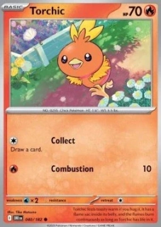 Torchic (DRI 040)