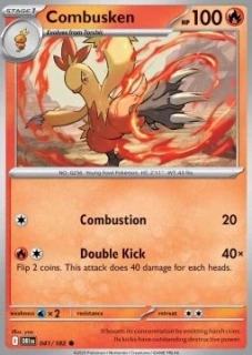 Combusken (DRI 041)