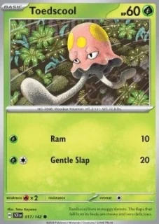 Toedscool RH (SCR 017)