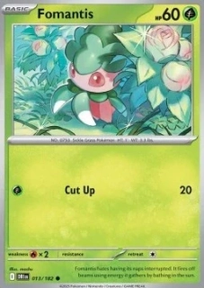Fomantis (DRI 013)