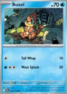 Buizel (DRI 057)